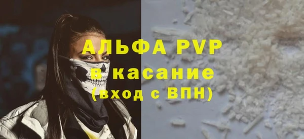 прущие грибы Галич