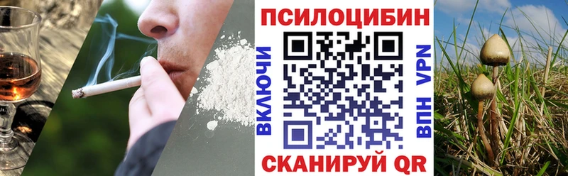 наркота  это какой сайт  Галлюциногенные грибы Magic Shrooms  Кущёвская 
